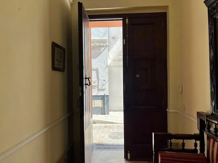 Atico Joaquin Costa 15 Alameda De Hercules Seville Apartment